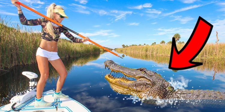 We ATE an Alligator over TEN FEET LONG! Florida Alligator “Catch” & Cook