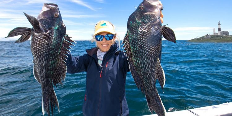 We Made A BIG MISTAKE! 😆 MONTAUK Fishing for Black Sea Bass; Catch & Cook