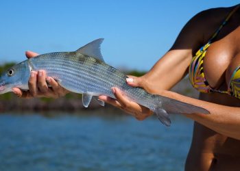 BONEFISH on JIG in the BAHAMAS | Preview