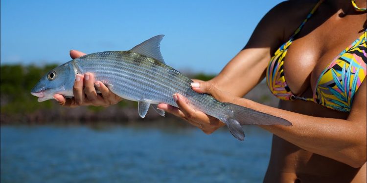 BONEFISH on JIG in the BAHAMAS | Preview