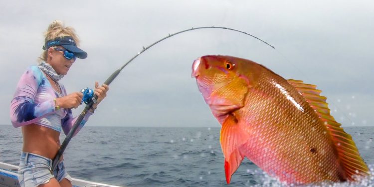 Giant SNAPPER FISHING! Catch Clean Cook Mutton Snapper!