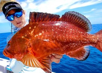 HIDE THE BOOTY! *Bottom Fishing GROUPER Blood Bath* Florida Deep Sea Fishing