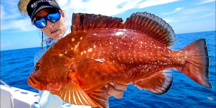 HIDE THE BOOTY! *Bottom Fishing GROUPER Blood Bath* Florida Deep Sea Fishing