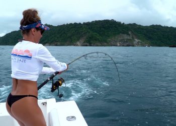 JACKS of Costa Rica