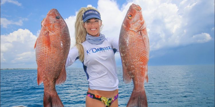 Monster Offshore MANGROVE SNAPPERS! Catch, Clean, Cook Orange Cream Sauce!