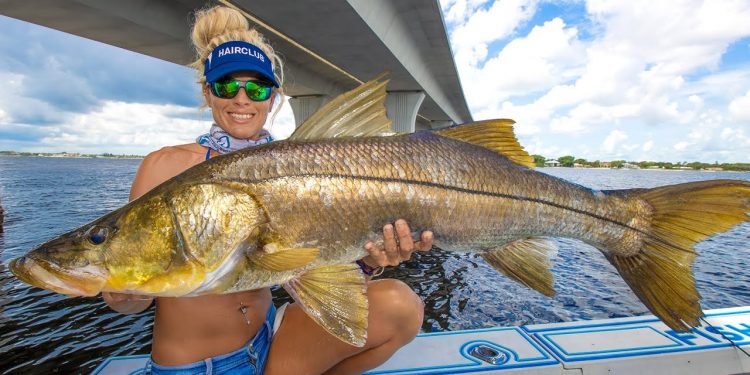 Our BIGGEST EVER??! 😀 Bridge Fishing for Giant Snook