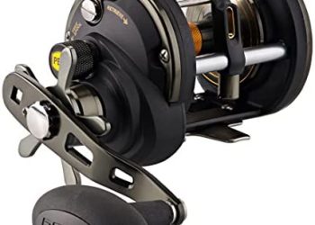 PENN Squall II Level Wind Conventional Fishing Reel
