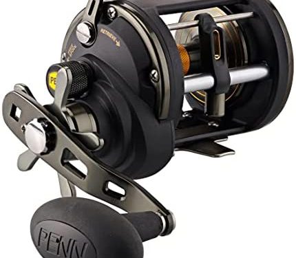 PENN Squall II Level Wind Conventional Fishing Reel
