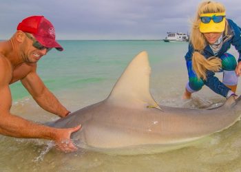 PROHIBITED SHARK Surfishing! Dangerous Night-time Beach Fishing