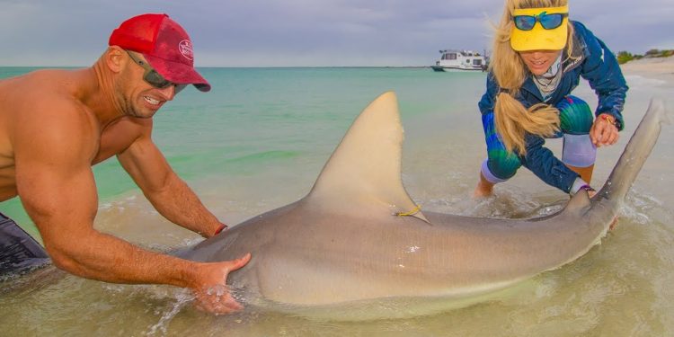 PROHIBITED SHARK Surfishing! Dangerous Night-time Beach Fishing