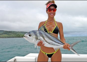 ROOSTERFISH Catch and Release  4K
