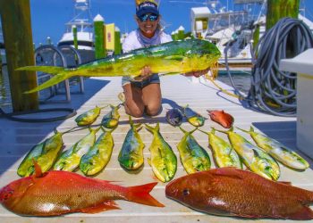 The MAHI ARE BACK!  Florida Offshore Fishing for TONS of Mahi, Tuna, and my PB SNAPPER!