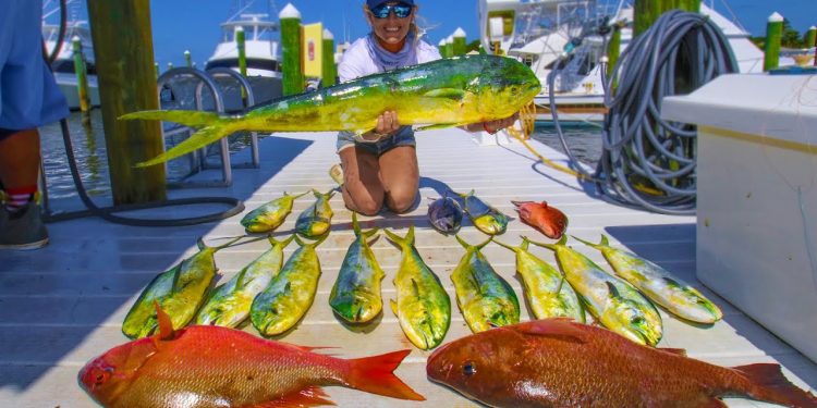 The MAHI ARE BACK!  Florida Offshore Fishing for TONS of Mahi, Tuna, and my PB SNAPPER!