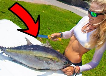 WICKED TUNA! *Not Sold in Stores* BLACKFIN TUNA SUSHI 😀 Clean, Cook & Catch