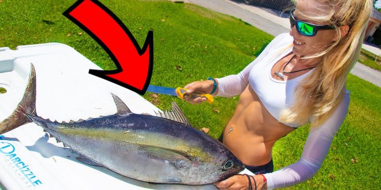 WICKED TUNA! *Not Sold in Stores* BLACKFIN TUNA SUSHI 😀 Clean, Cook & Catch