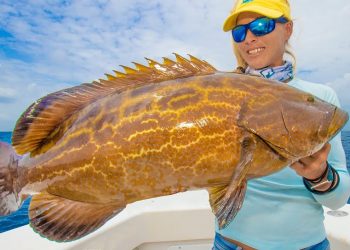 YANK ‘EM UP! Florida Girl BOTTOM FISHING for BIG GROUPER 😀 Catch & Cook!