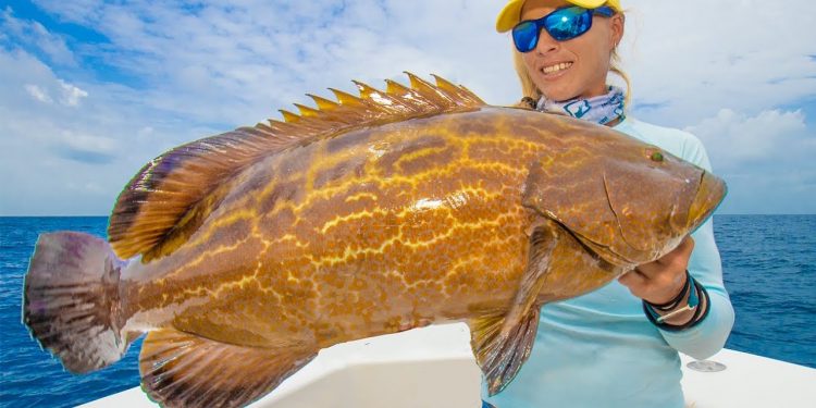 YANK ‘EM UP! Florida Girl BOTTOM FISHING for BIG GROUPER 😀 Catch & Cook!
