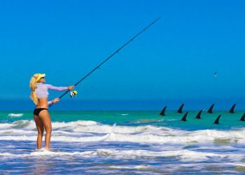 1000’s of Sharks! BEACH FISHING for Sharks during the Blacktip Migration