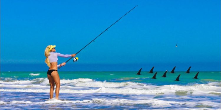 1000’s of Sharks! BEACH FISHING for Sharks during the Blacktip Migration