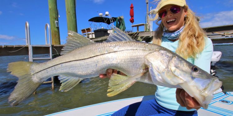 BATTLE under the Docks! Surprise Snook “Soap Fish” Catch & Cook (+Giveaway)