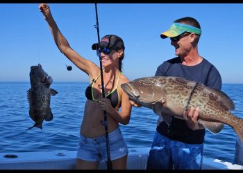 Crystal River GROUPER FISHING !  | Livin’ the Dream
