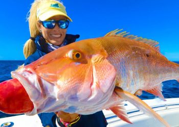 Fish’s Stomach EXPLODES!! Florida Keys Wreck Fishing