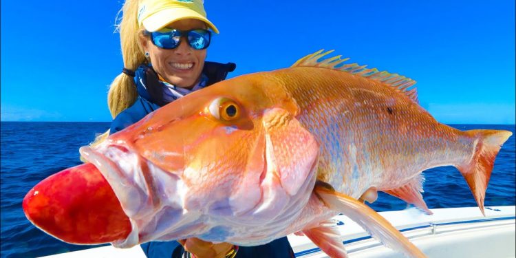 Fish’s Stomach EXPLODES!! Florida Keys Wreck Fishing