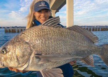 Florida Bridge Fishing for Big Black Drum! BBQ Catch & Cook