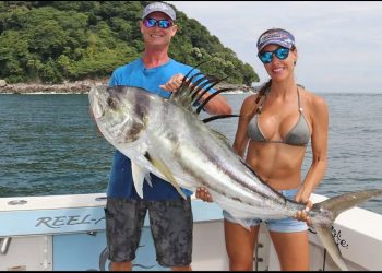 GIANT Roosterfish Beach!  |Livin’ the Dream