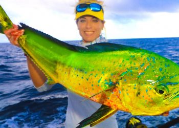 OFFSHORE MAHI MAHI FISHING! ♥ Florida Dolphin vs. Wahoo SUSHI Catch & Cook