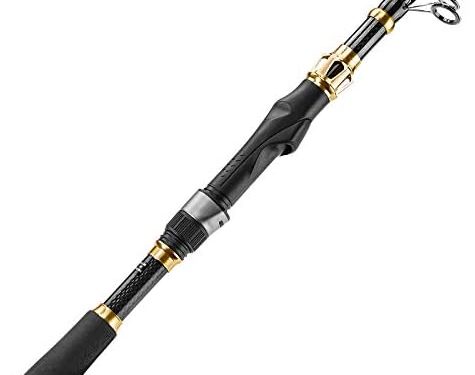 PLUSINNO Fishing Rod and Reel Combos Carbon Fiber Telescopic Fishing Rod with Reel Combo Sea Saltwater Freshwater Kit Fishing Pole…