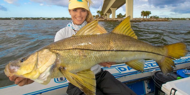 RIVER MONSTERS! Epic Bridge Battles with Huge Predator Fish (South Florida)