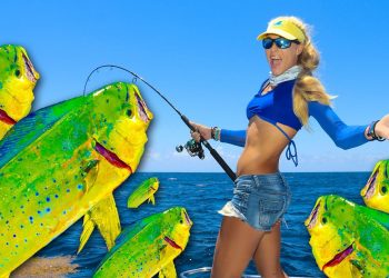 SURROUNDED! Florida Offshore Mahi Mahi Fishing / Dolphin Catch & Cook Tacos