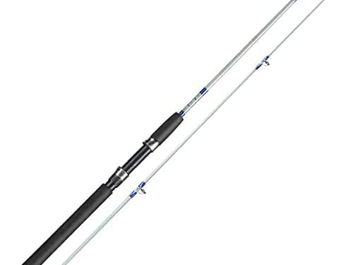 Sougayilang Fishing Rod, 2-Piece Composite Graphite & Glass Blanks Saltwater Trolling Rod Offshore Surf Fishing Pole with Stainless Steel Line Guides for Catfish, Salmon Glass Fiber Spinning Rod