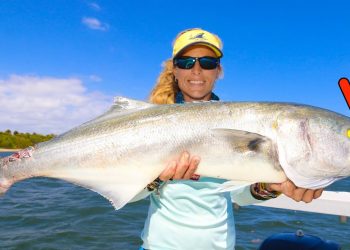 Yellow Eyed Devil Catch & Cook! The Best BLUEFISH in the World.