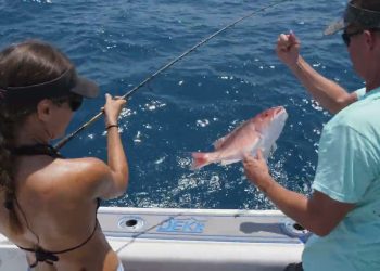 Catching a RED SNAPPER