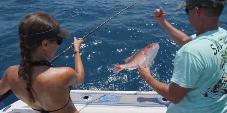 Catching a RED SNAPPER