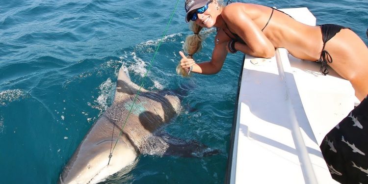 Florida Offshore Fishing Girl Lands 500lb+ Monster Shark!