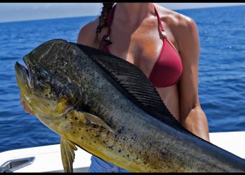 MAHI Madness | Livin’ the Dream