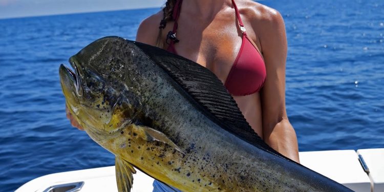 MAHI Madness | Livin’ the Dream