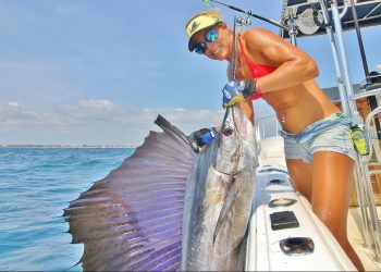 Massive SAILFISH Surprise! Epic MULTI-SPECIES Fishing Video
