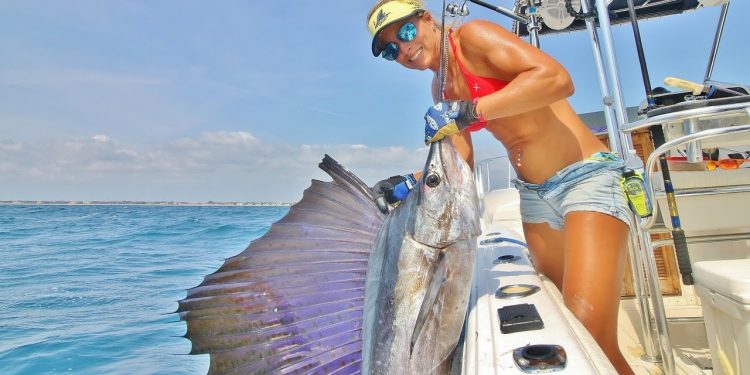 Massive SAILFISH Surprise! Epic MULTI-SPECIES Fishing Video