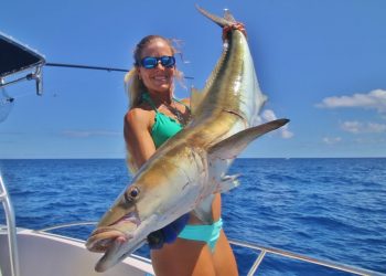 My Biggest COBIA Ever! Florida Offshore Fishing