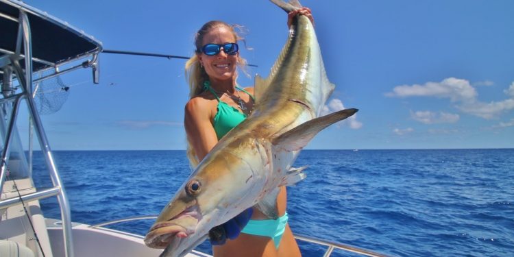 My Biggest COBIA Ever! Florida Offshore Fishing