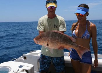 Red SNAPPER in Florida
