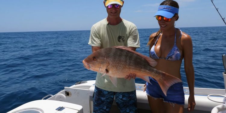 Red SNAPPER in Florida