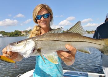 Florida Inshore Saltwater Trolling for Snook Fishing Video ft. Phantom 4 Drone
