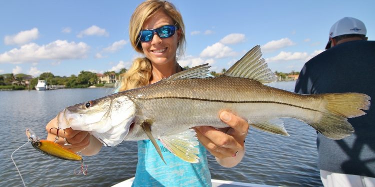 Florida Inshore Saltwater Trolling for Snook Fishing Video ft. Phantom 4 Drone