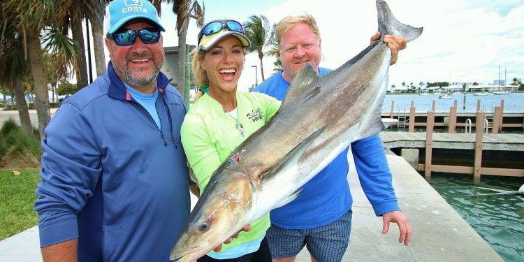 Florida Offshore Fishing for Mahi Mahi, Cobia, & Kingfish GoPro Video