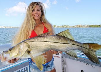 Girl puts Dad ON THE FISH! Snook & Barracuda Inshore Fishing